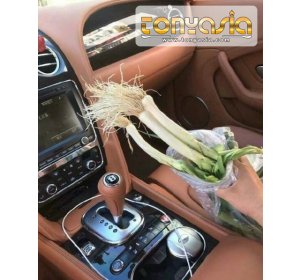 Tabrakan dengan Mobil Bentley Tukang Sayur Ganti Rugi dengan Daun Bawang | Casino Online Terpercaya | Agen Judi Casino